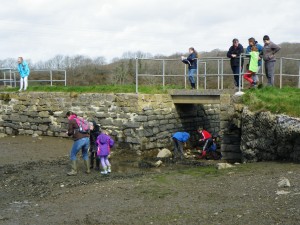 IMGP2154