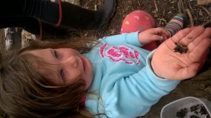 WP_20160408_007